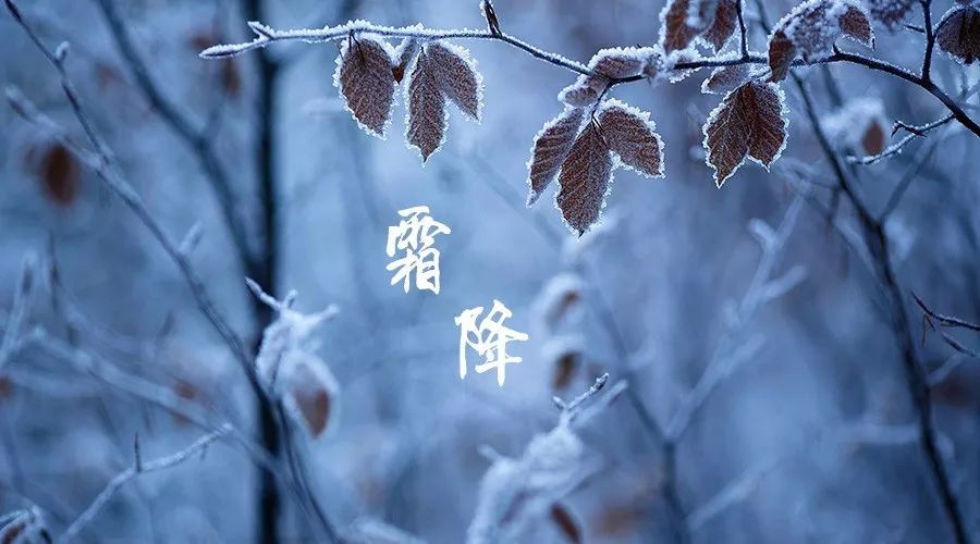 霜降 “清秋”  遠(yuǎn)去“寒冬”來(lái)