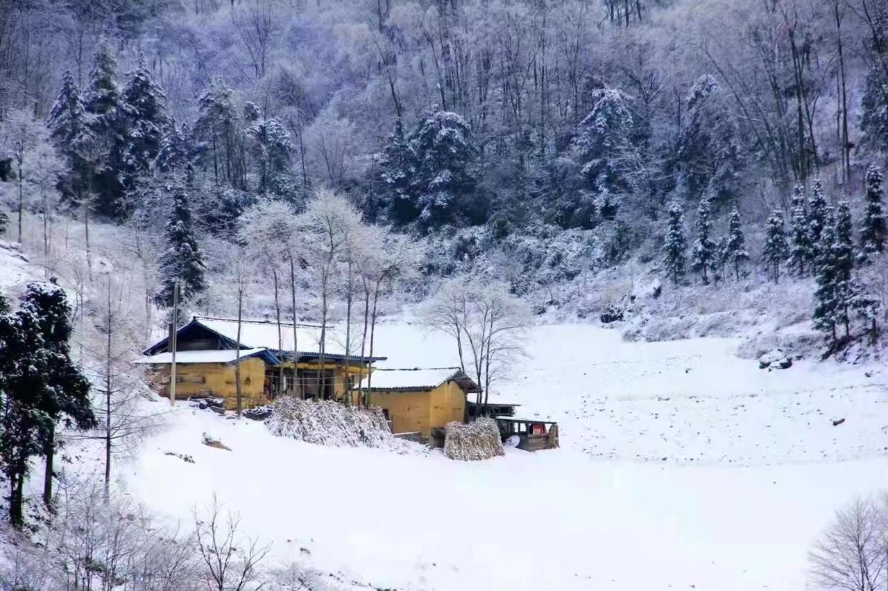 立春迎雪，歲時飛花