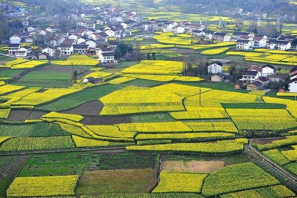 春日最靚風(fēng)景線