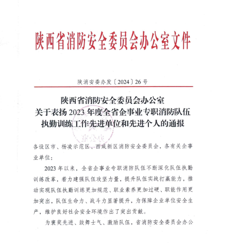 喜訊！漢鋼公司應(yīng)急救援中心榮獲多項殊榮