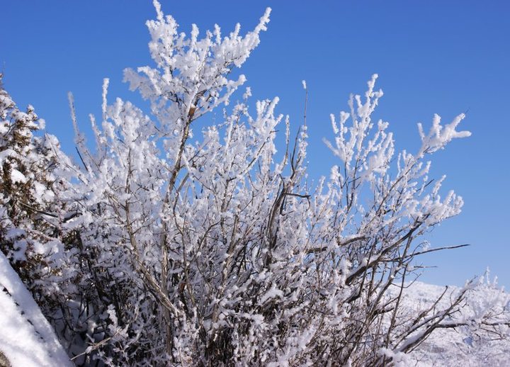 【鋼城文苑】初 雪