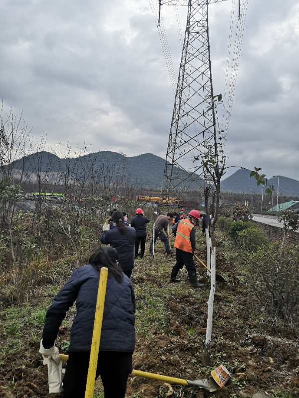 【美麗漢鋼】物流中心黨委積極為“植樹節(jié)”活動做準(zhǔn)備