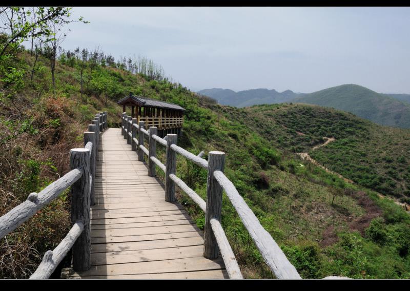 【鋼城文苑】定軍山游記