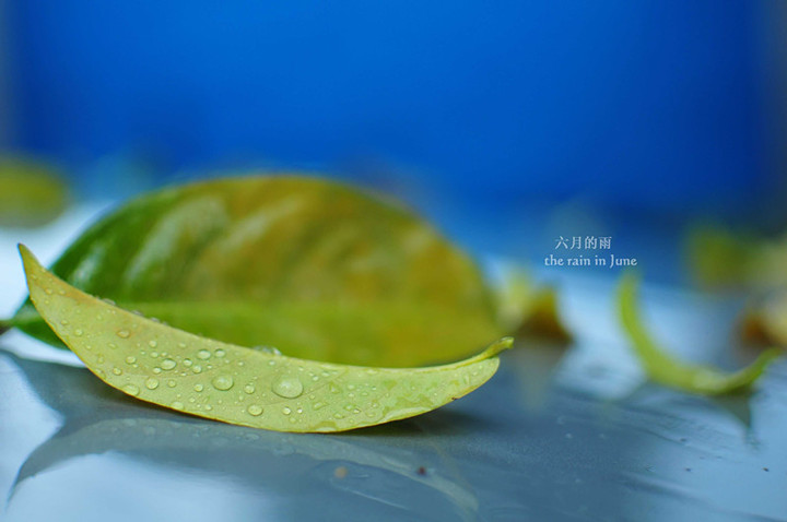 【鋼城文苑】六月的雨