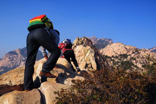 從定軍山到牛背梁，一“山”更比一“山”高