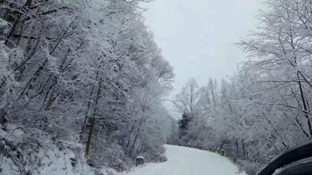 新雪初霽  霏霏如螢